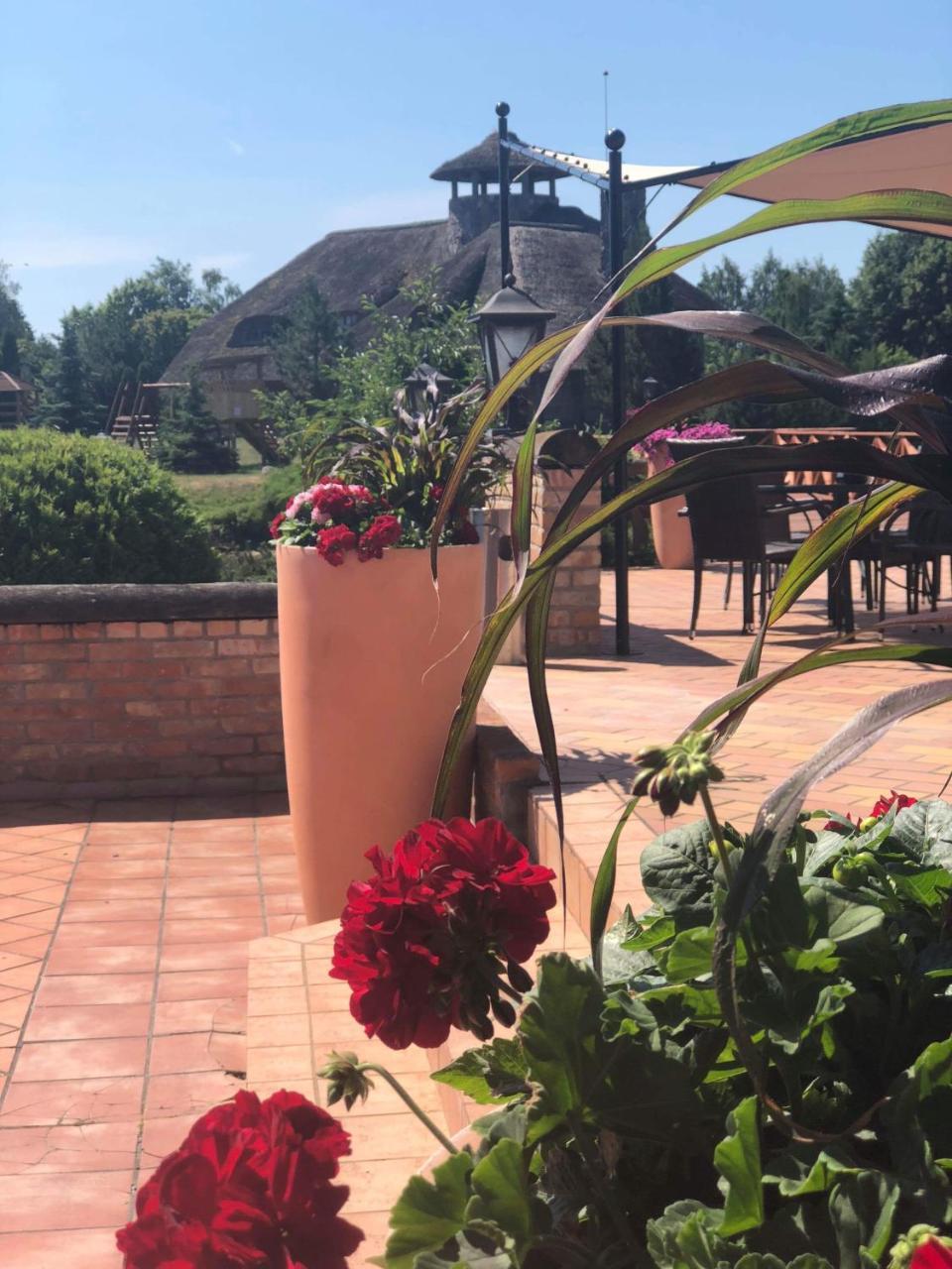 Villa Audruvis Joniškis Buitenkant foto